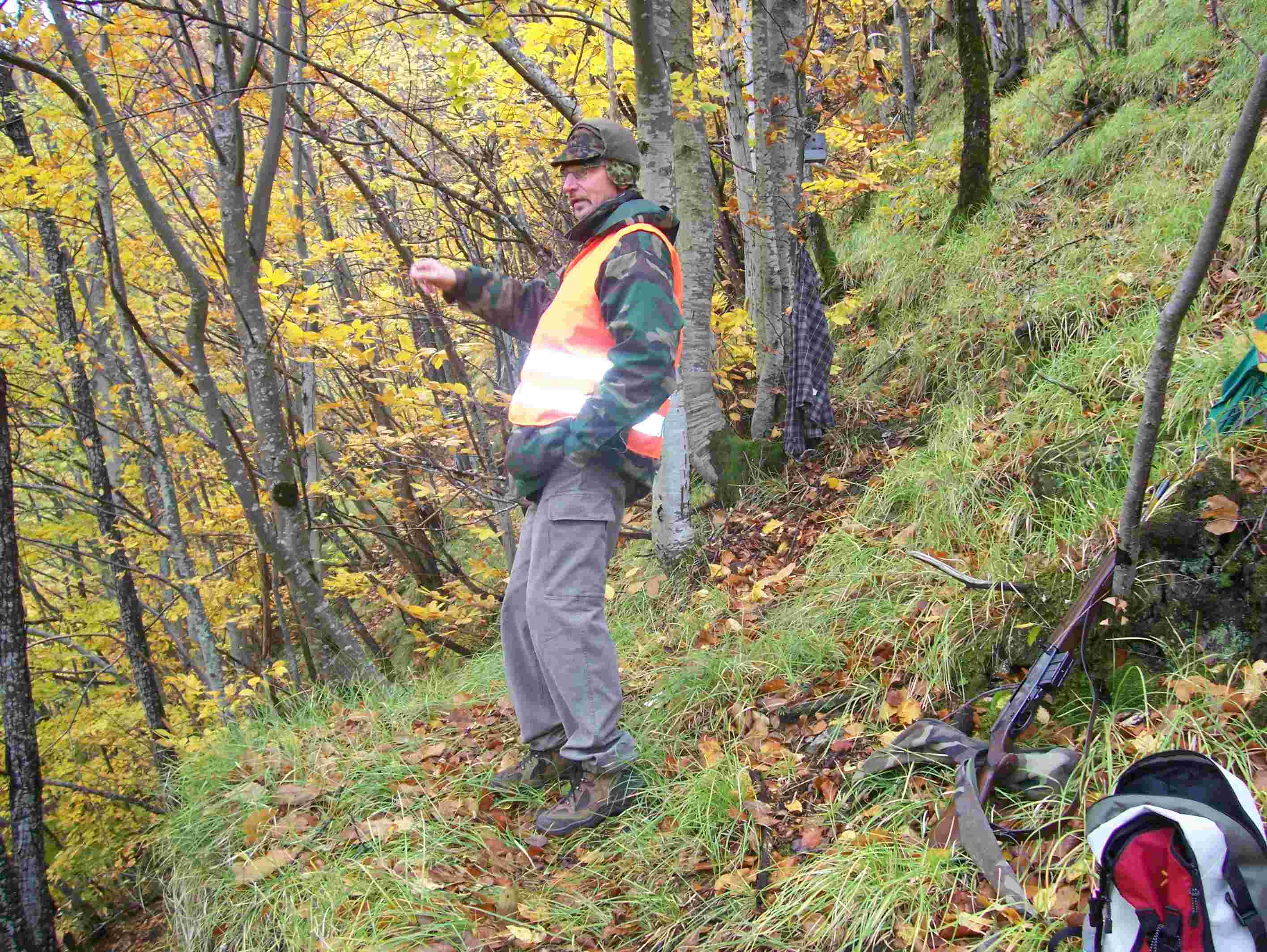  Image name: 11 Caccia.JPG 
 width: 2832 pixel 
 height: 2128 pixel 
 Size: 366087 bytes 
 Click to enlarge 